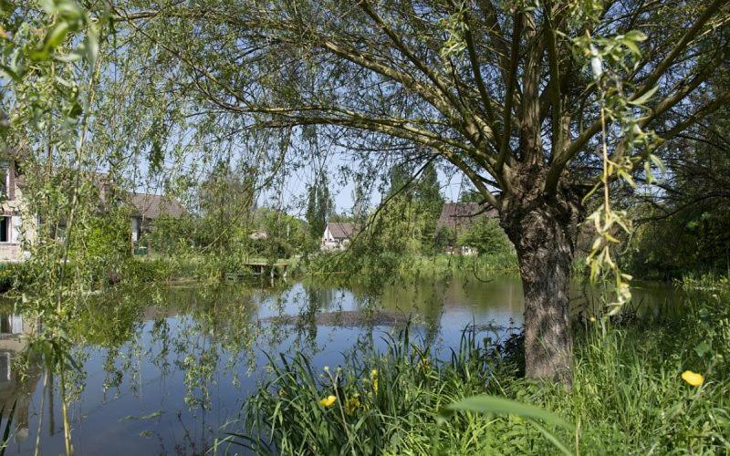 Отель Holistica Сен-Фаржо Экстерьер фото